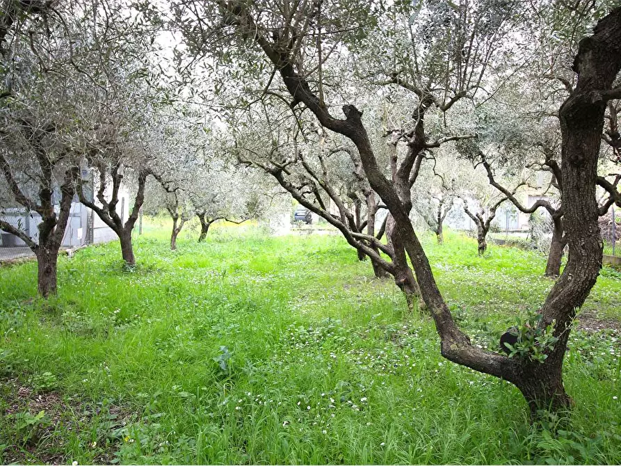 Immagine 1 di Porzione di casa in vendita  a Vicopisano
