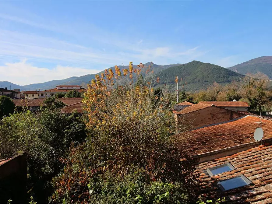 Immagine 18 di Appartamento in vendita  a Bientina