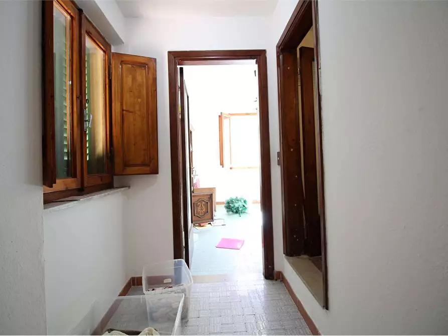 Immagine 19 di Appartamento in vendita  a Buti