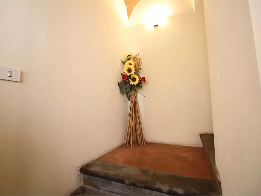 Immagine 24 di Appartamento in vendita  a Buti