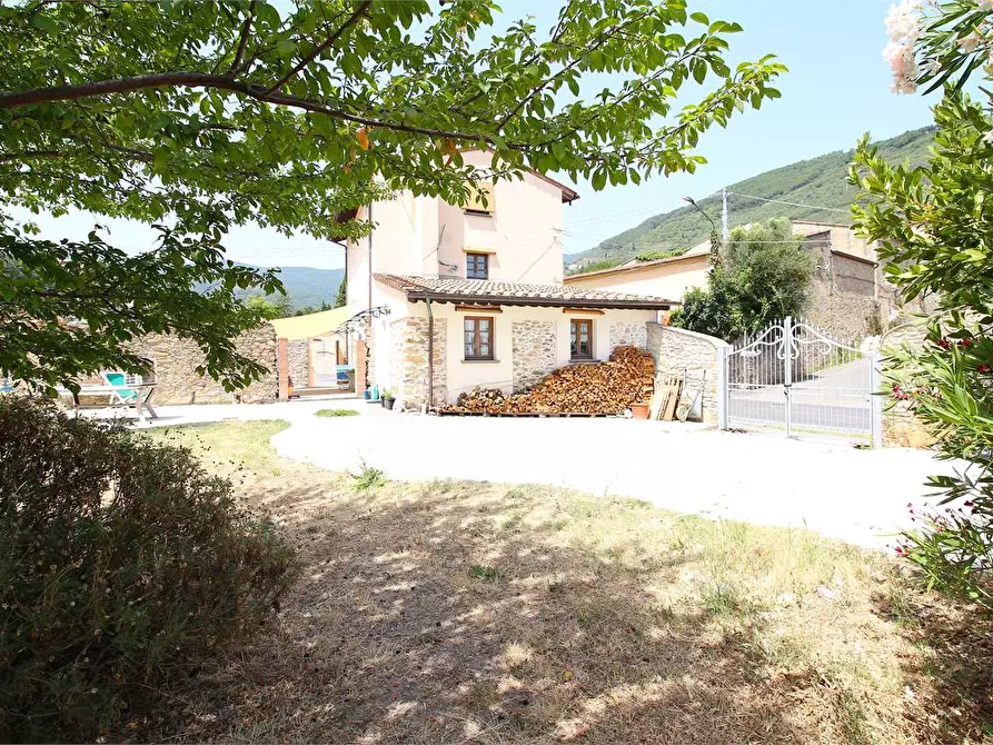 Immagine 6 di Casa colonica in vendita  a Buti