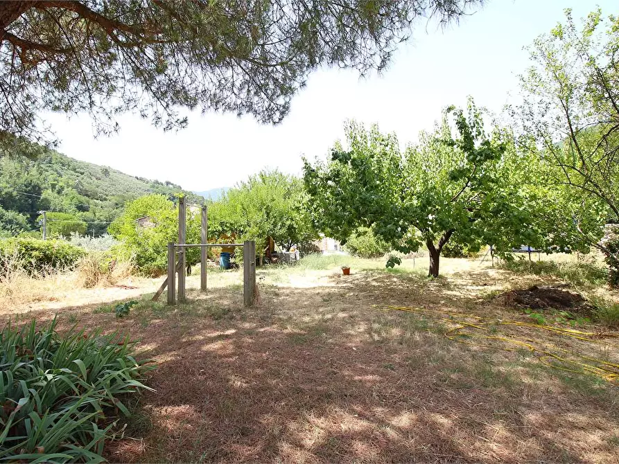Immagine 7 di Casa colonica in vendita  a Buti
