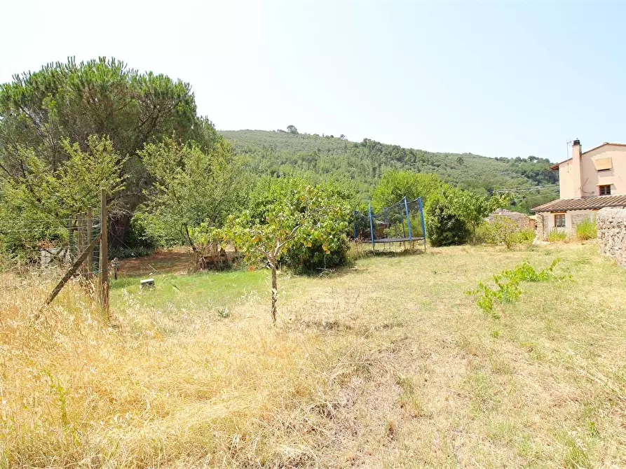 Immagine 9 di Casa colonica in vendita  a Buti