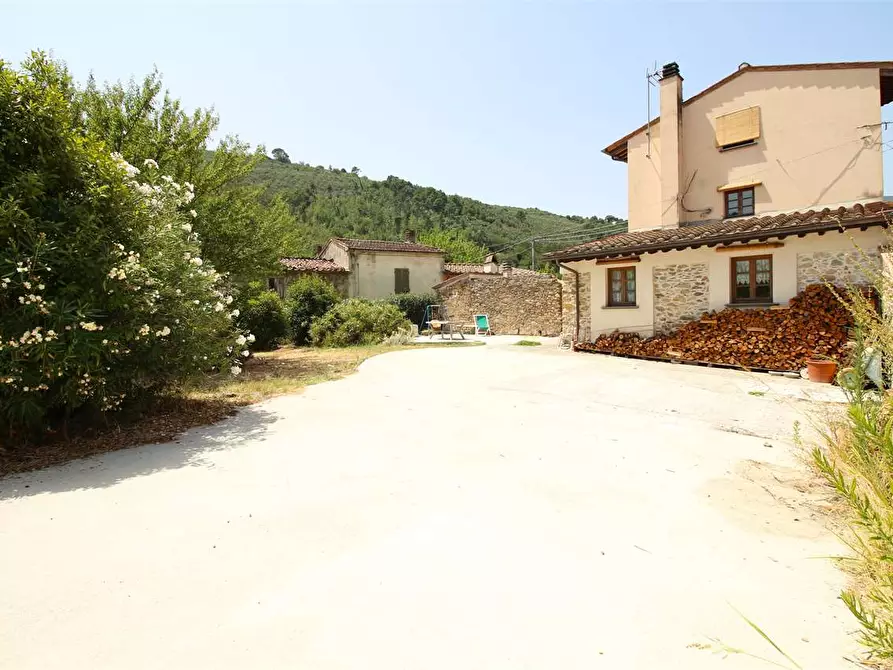 Immagine 10 di Casa colonica in vendita  a Buti