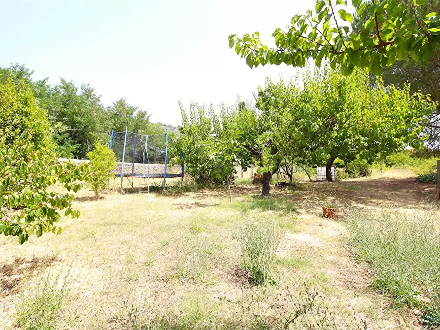 Immagine 11 di Casa colonica in vendita  a Buti