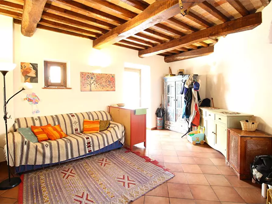 Immagine 12 di Casa colonica in vendita  a Buti