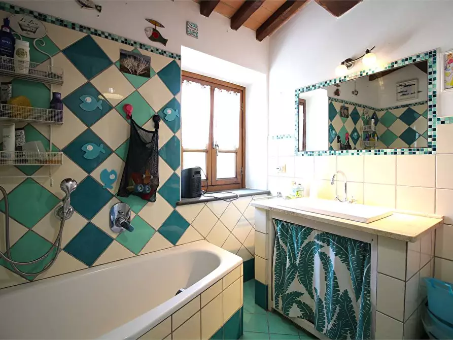 Immagine 23 di Casa colonica in vendita  a Buti