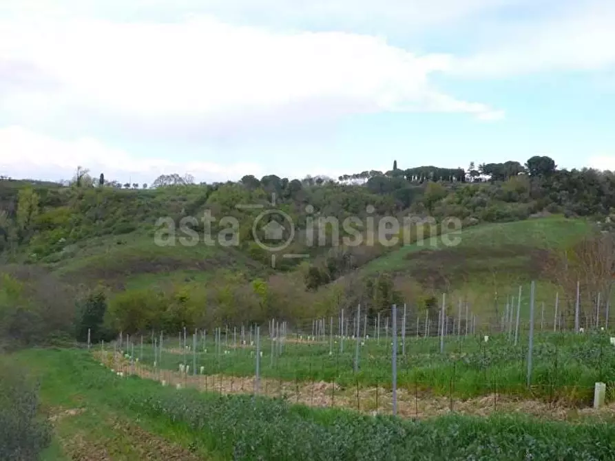 Immagine 1 di Terreno agricolo in vendita  a Empoli