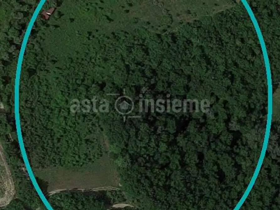 Immagine 1 di Terreno agricolo in vendita  a Montespertoli