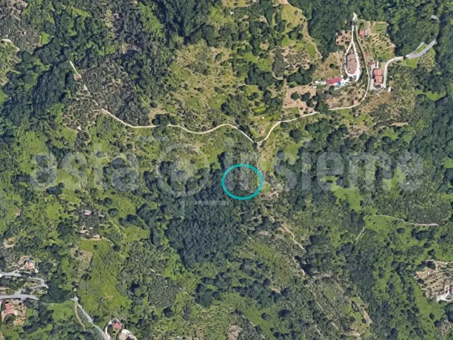 Immagine 1 di Terreno agricolo in vendita  a Carrara