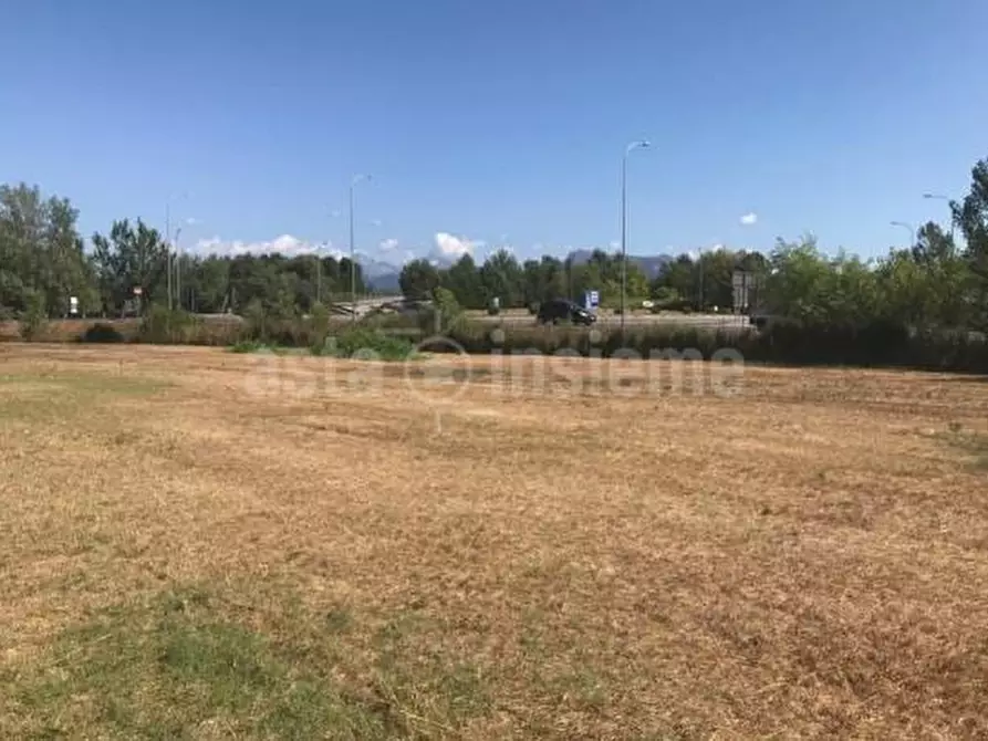 Immagine 1 di Terreno agricolo in vendita  a Viareggio
