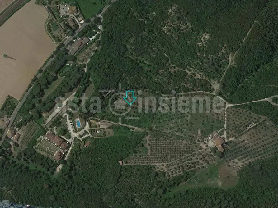 Immagine 1 di Terreno agricolo in vendita  a Montelupo Fiorentino