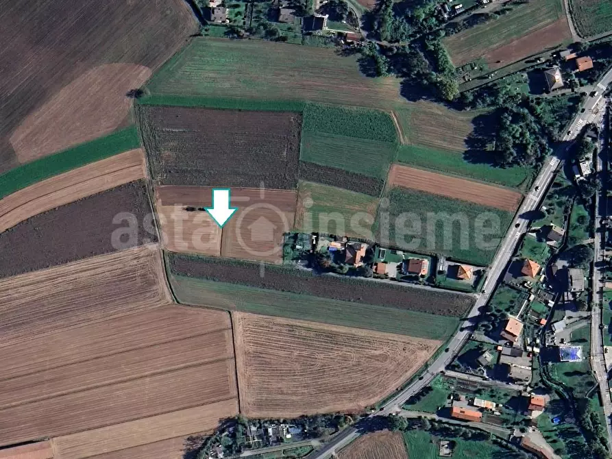 Immagine 1 di Terreno agricolo in vendita  a Druento