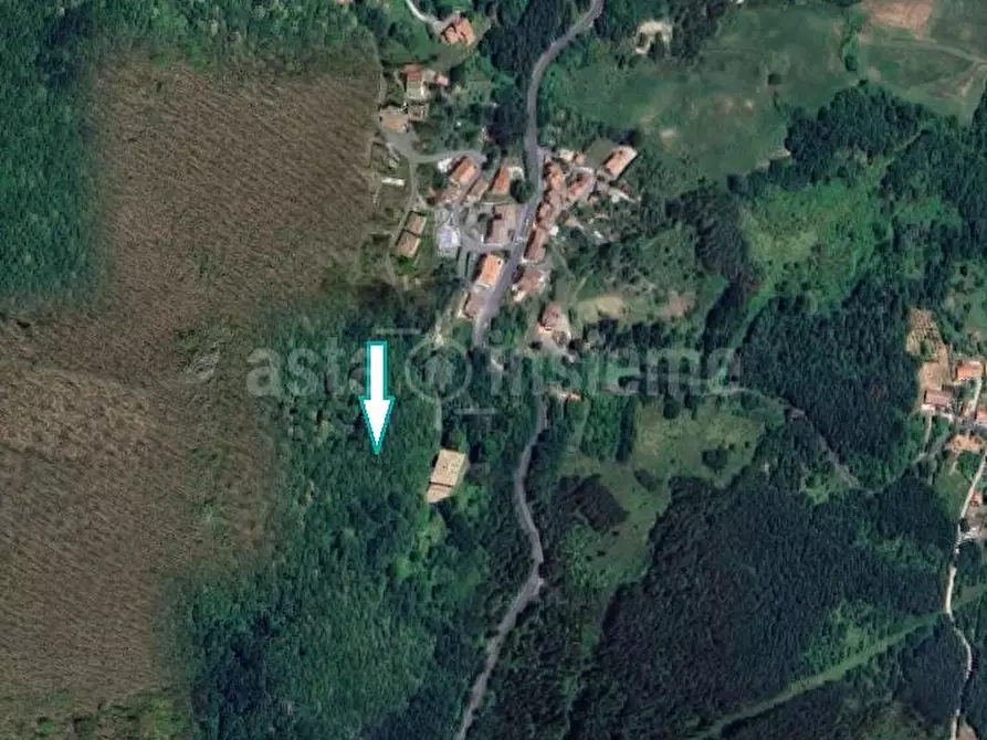 Immagine 1 di Terreno agricolo in vendita  a Piancastagnaio