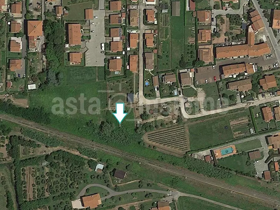 Immagine 1 di Terreno agricolo in vendita  a Massarosa