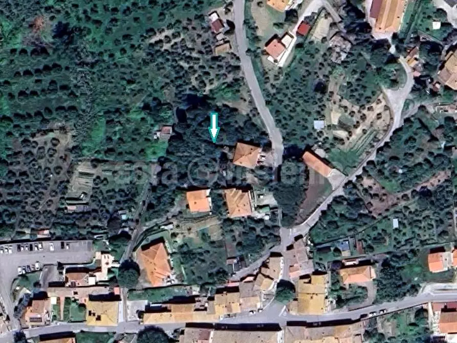 Immagine 1 di Terreno agricolo in vendita  a Volterra