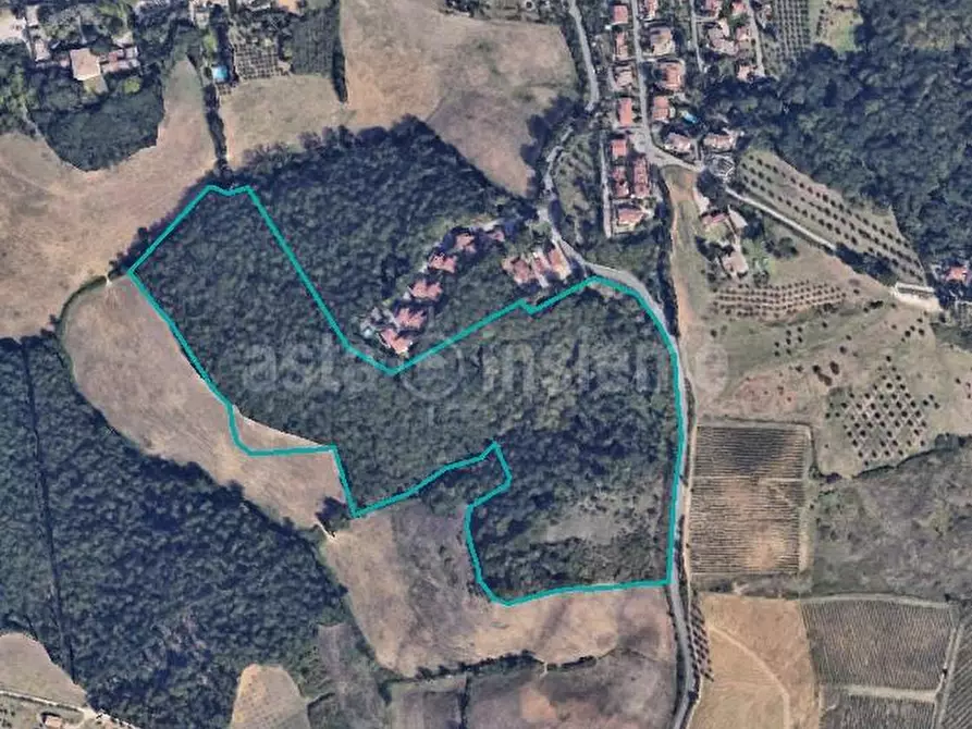 Immagine 1 di Terreno agricolo in vendita  a Monteriggioni