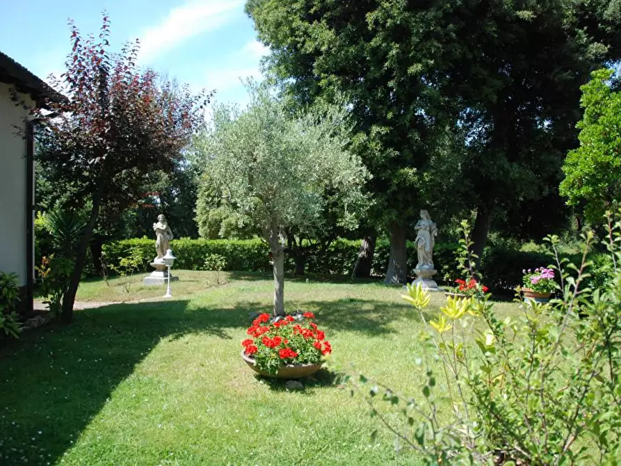 Immagine 23 di Villa in vendita  a Pisa