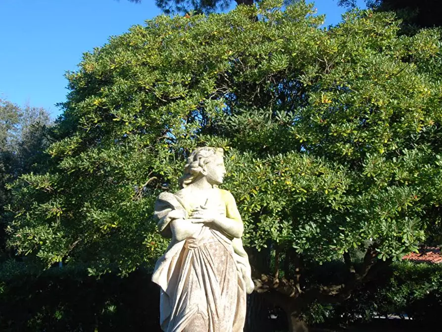 Immagine 16 di Villa in vendita  a Pisa