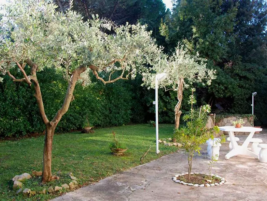 Immagine 18 di Villa in vendita  a Pisa