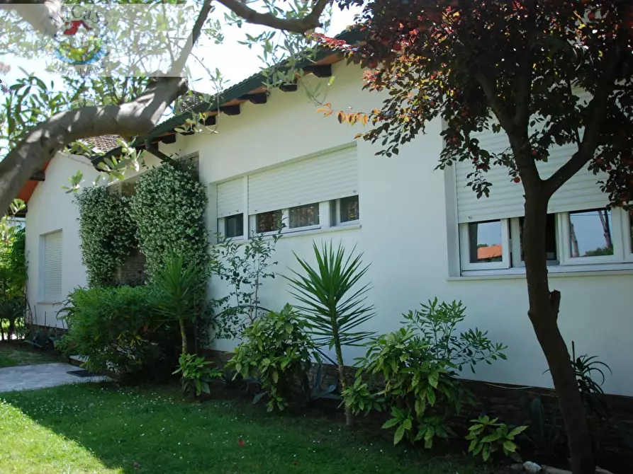 Immagine 33 di Villa in vendita  a Pisa