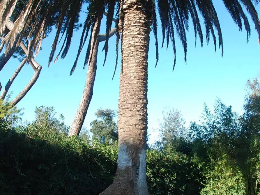 Immagine 37 di Villa in vendita  a Pisa