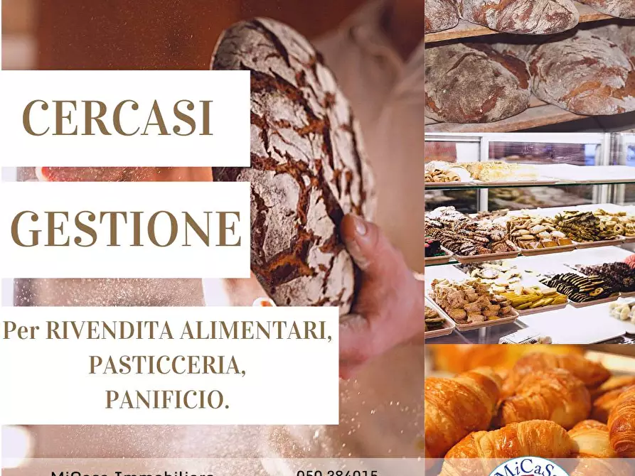 Immagine 2 di Attività commerciale in affitto  a Pisa