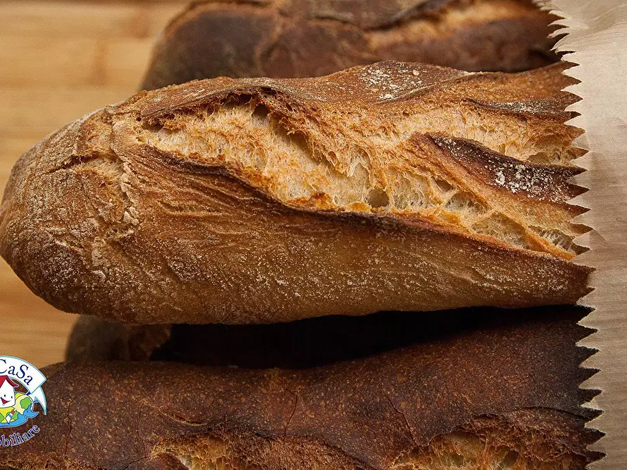 Immagine 5 di Attività commerciale in affitto  a Pisa