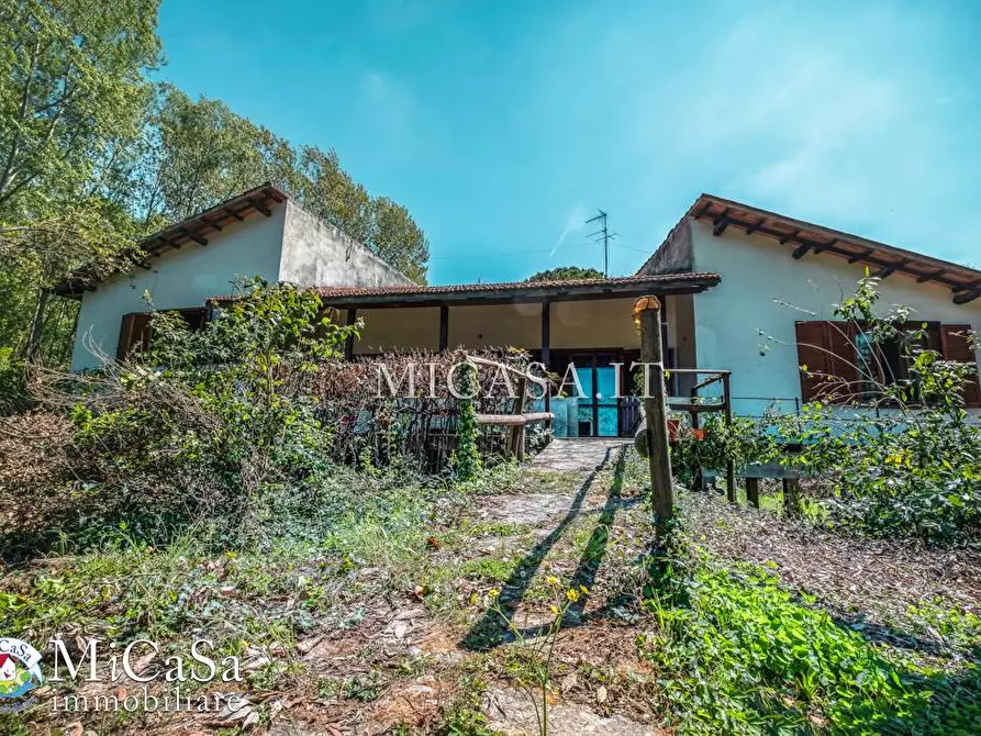 Immagine 2 di Villa in vendita  a Pisa