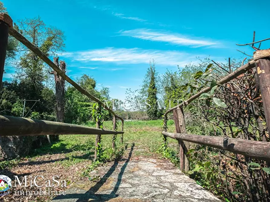 Immagine 29 di Villa in vendita  a Pisa
