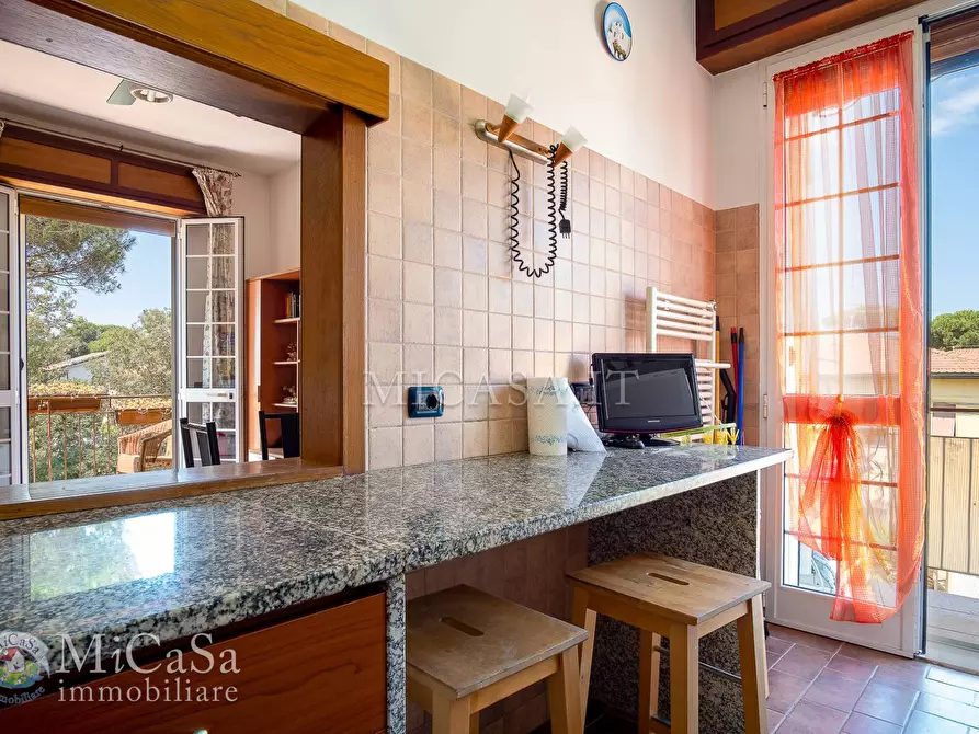 Immagine 5 di Appartamento in vendita  a Pisa