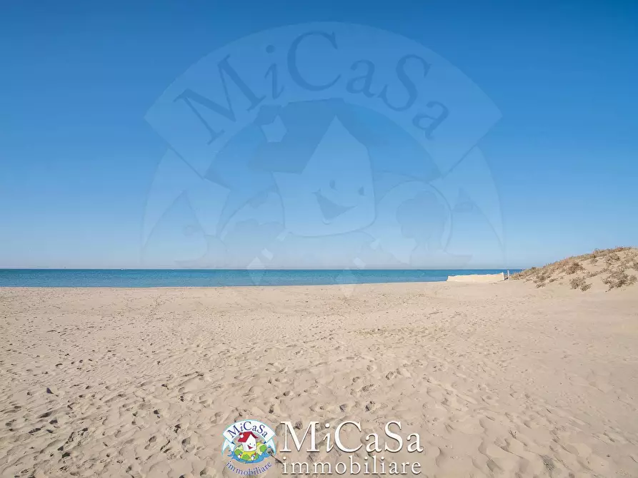 Immagine 19 di Appartamento in affitto  a Pisa