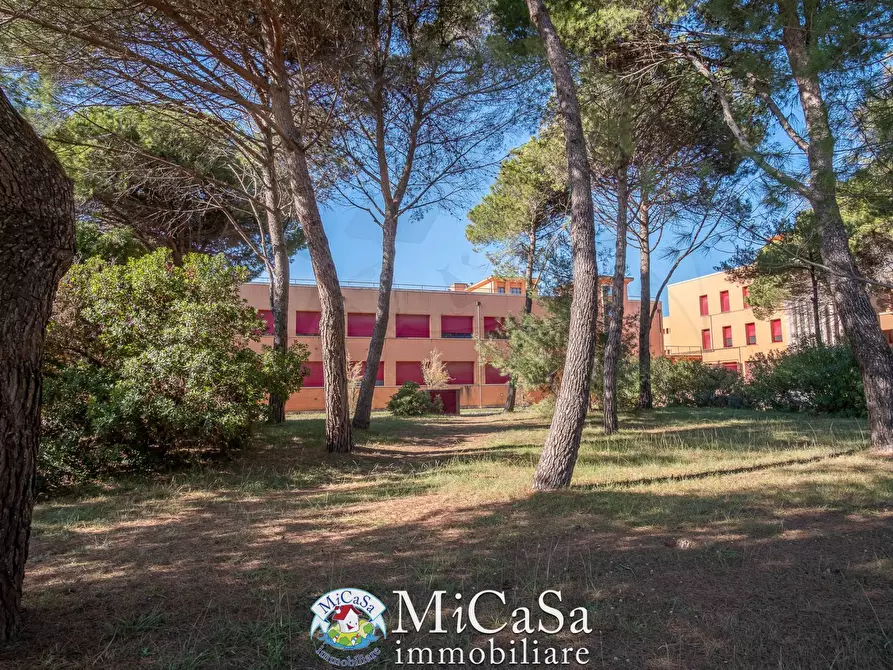 Immagine 22 di Appartamento in affitto  a Pisa