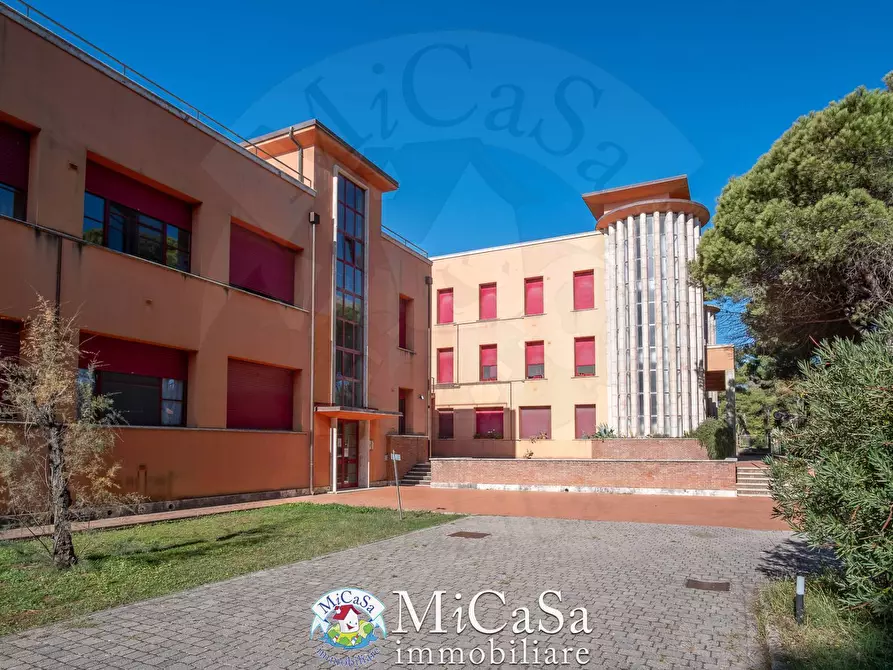 Immagine 23 di Appartamento in affitto  a Pisa