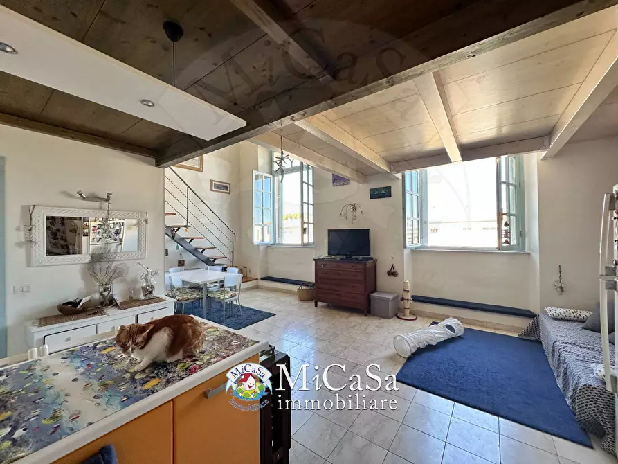 Immagine 18 di Appartamento in affitto  a Pisa