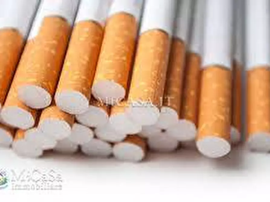 Immagine 4 di Attività commerciale in vendita  a Pisa