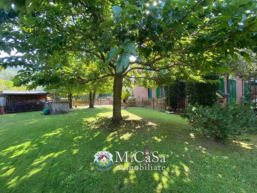 Immagine 46 di Casa semindipendente in vendita  a Calci