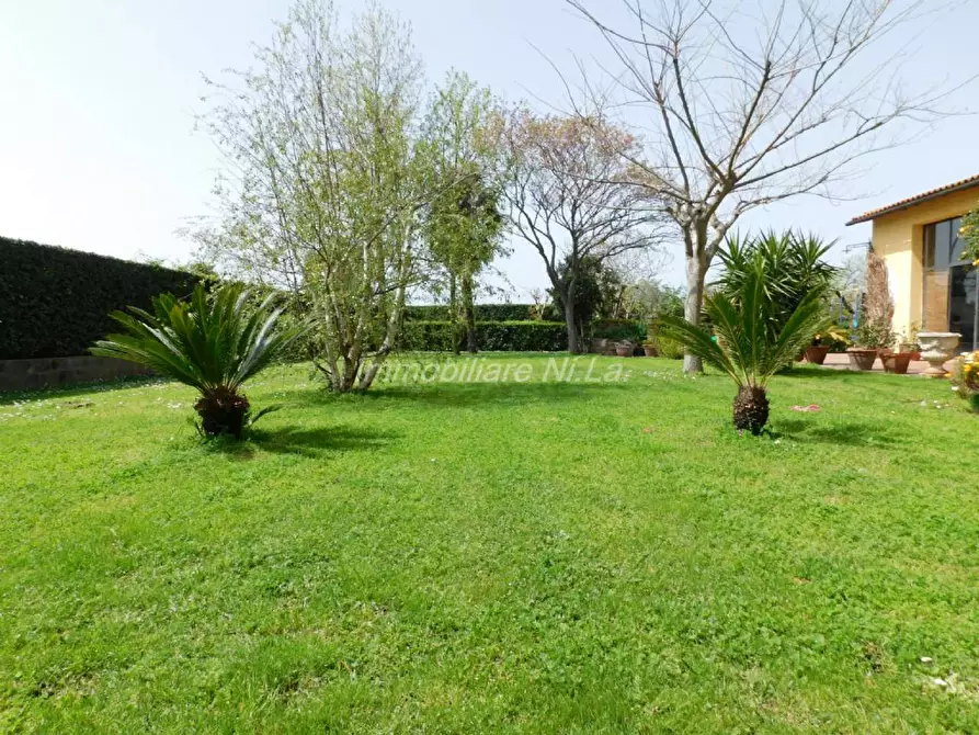 Immagine 10 di Rustico / casale in vendita  a San Giuliano Terme