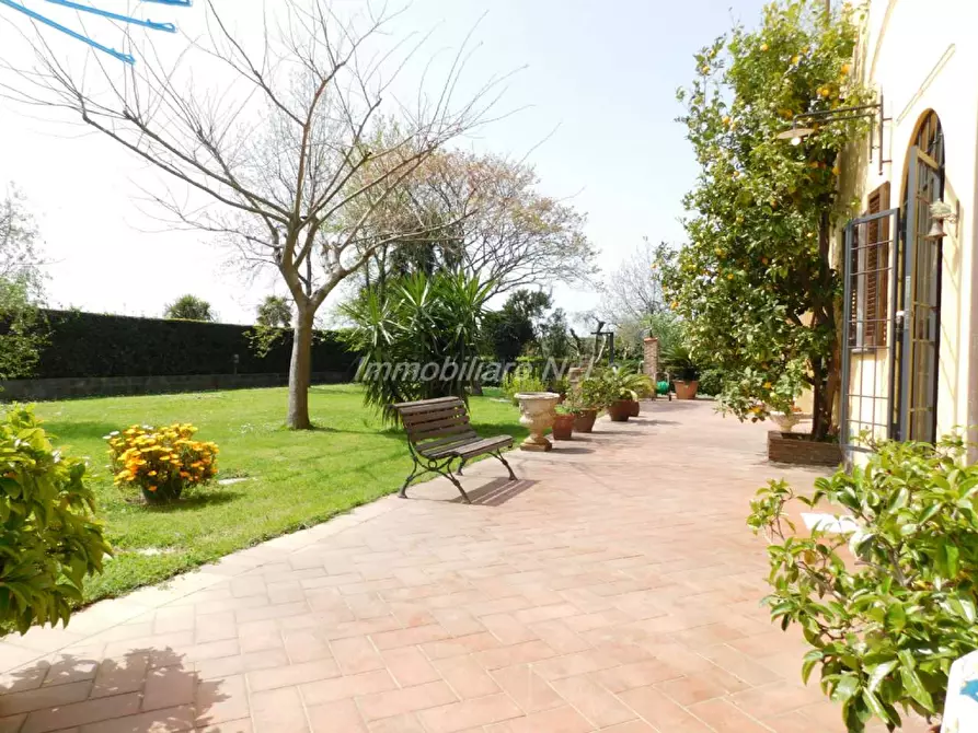 Immagine 7 di Rustico / casale in vendita  a San Giuliano Terme