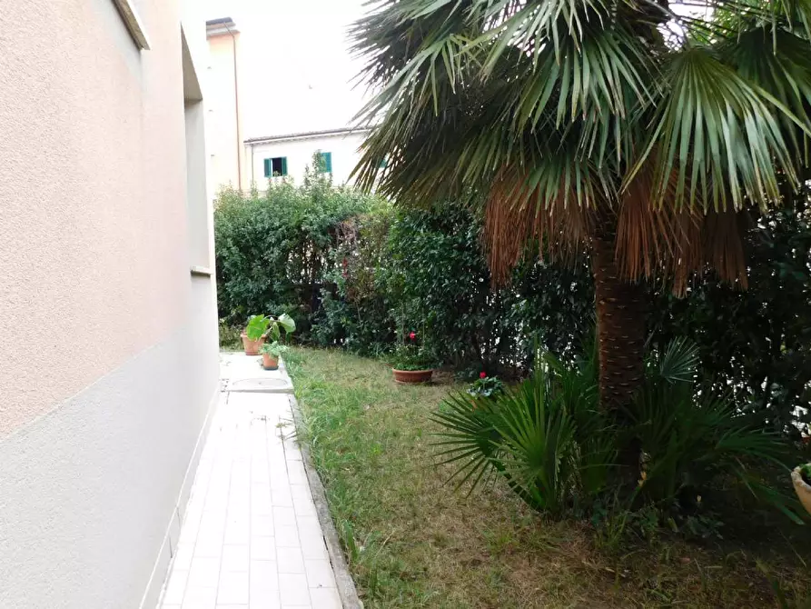 Immagine 16 di Appartamento in affitto  a Pisa