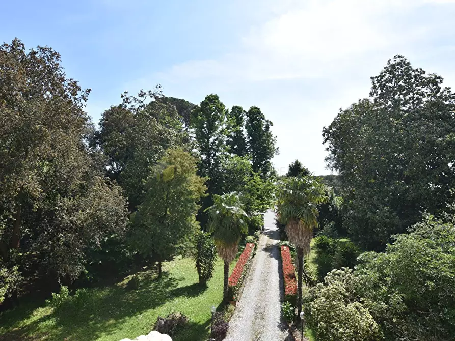 Immagine 4 di Villa in vendita  a San Giuliano Terme