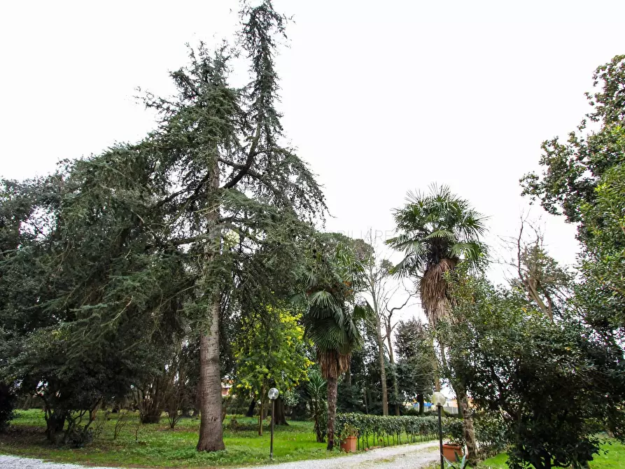 Immagine 11 di Villa in vendita  a San Giuliano Terme