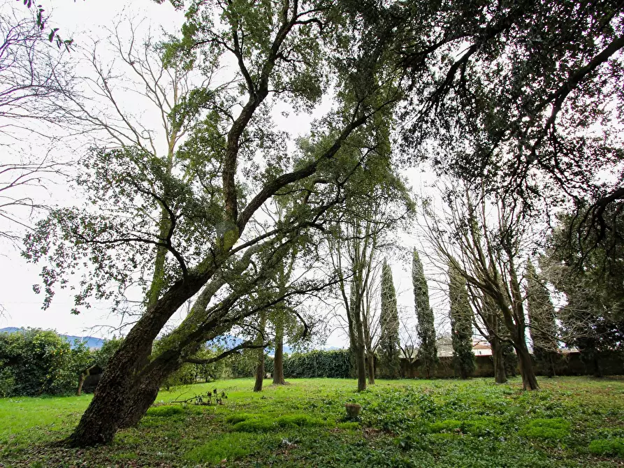 Immagine 23 di Villa in vendita  a San Giuliano Terme