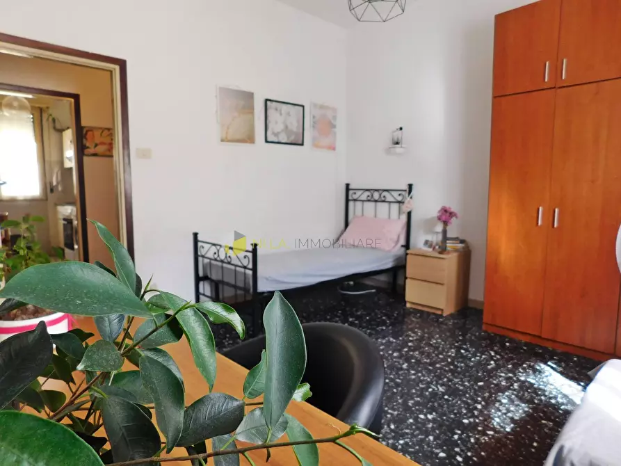 Immagine 4 di Appartamento in vendita  a Pisa