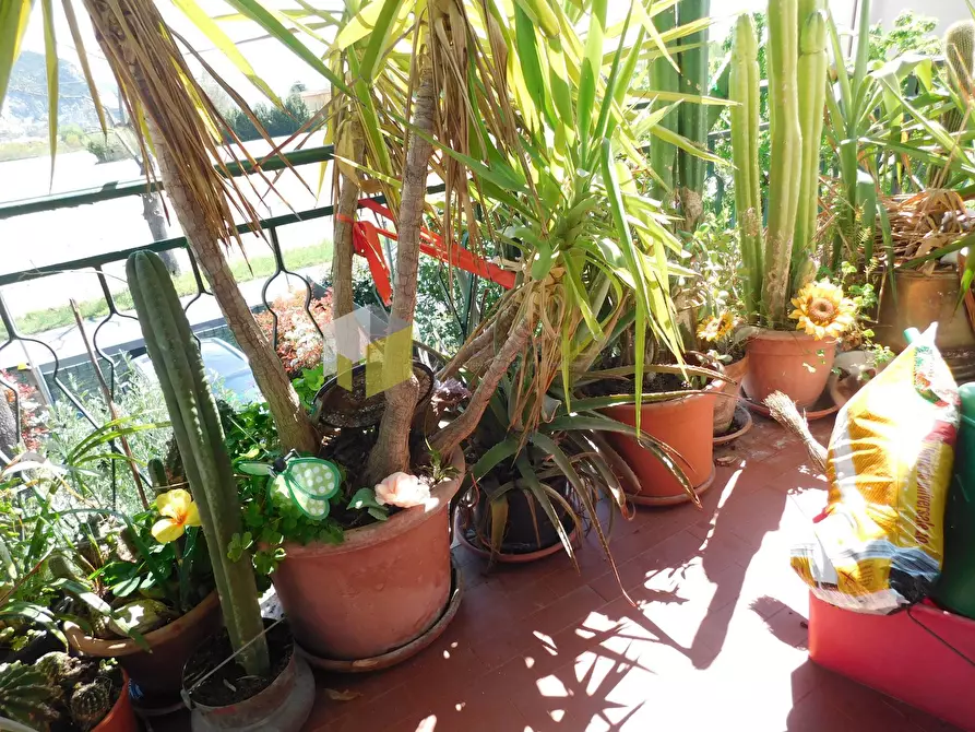 Immagine 27 di Appartamento in vendita  a San Giuliano Terme