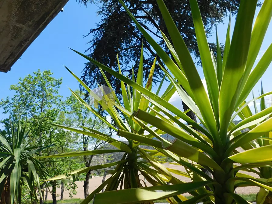 Immagine 31 di Appartamento in vendita  a San Giuliano Terme