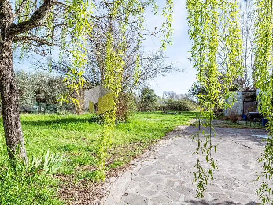 Immagine 1 di Appartamento in vendita  a San Giuliano Terme