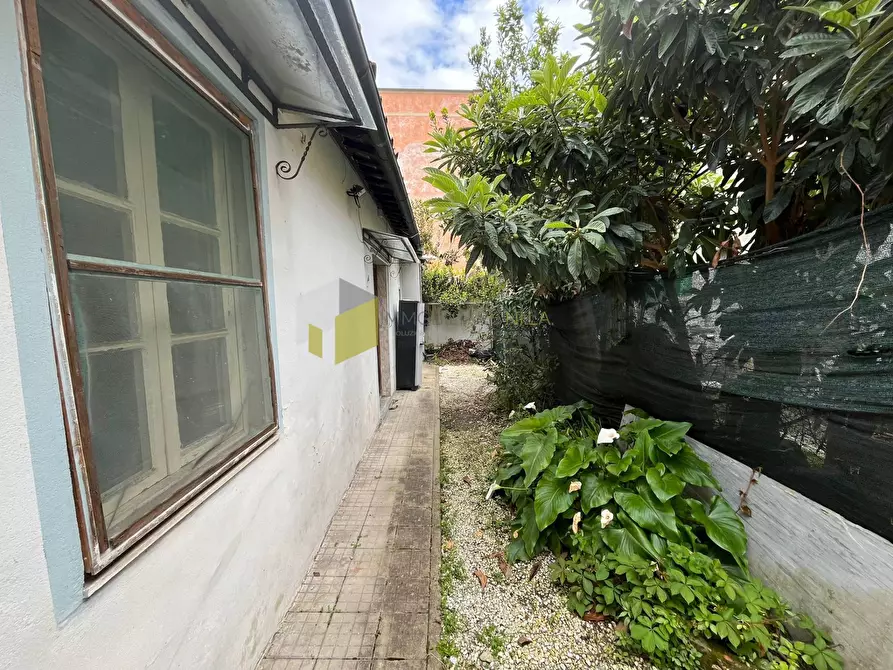 Immagine 2 di Casa indipendente in vendita  a Pisa