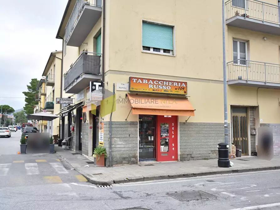 Immagine 6 di Locale commerciale in vendita  a Pisa