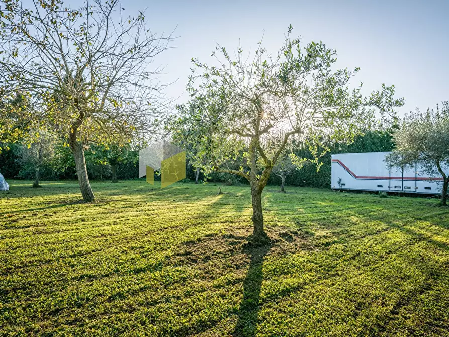 Immagine 2 di Villa in vendita  a San Giuliano Terme